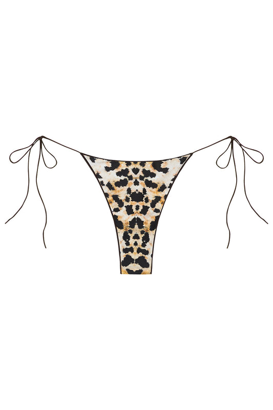 the C bottom in baby cheetah